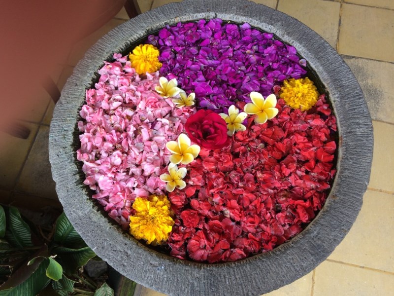 цветя Бали